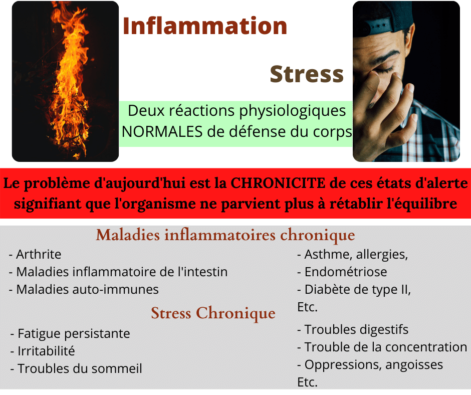 You are currently viewing Inflation & Stress, des réactions physiologiques normales de défense du corps