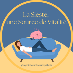 Lire la suite à propos de l’article Se revitaliser avec la sieste
