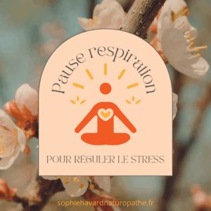 Lire la suite à propos de l’article Réduire le stress grâce à la respiration consciente