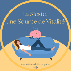 Lire la suite à propos de l’article Se revitaliser avec la sieste