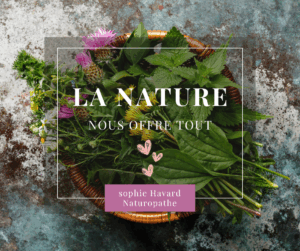 Lire la suite à propos de l’article La nature nous offre tout