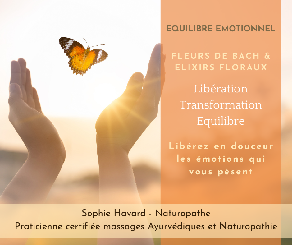Apaiser vos émotions avec les fleurs de Bach