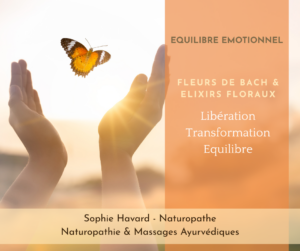 Lire la suite à propos de l’article Votre équilibre émotionnel avec les Fleurs de Bach