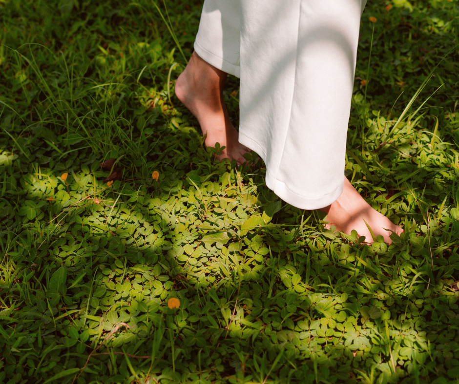 Fatigue persistante : une approche globale en naturopathie